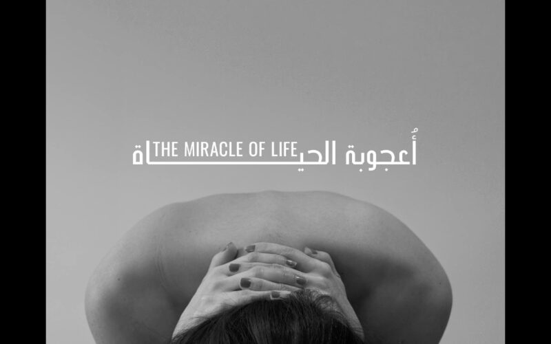 فيلم أعجوبة الحياة: في صمت الحمل